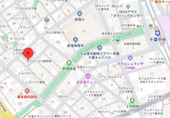 トスティナ新宿の物件内観写真